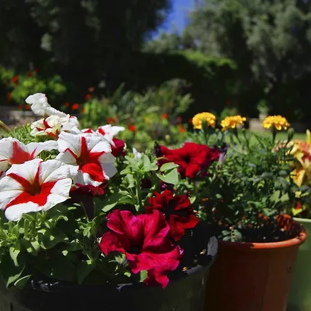 Saint Thomas Village 아파트 *